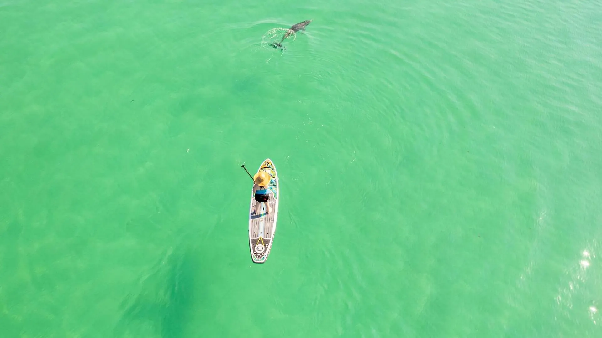 Apartment Inlet Reef 315- By Holiday Isle Properties Destin