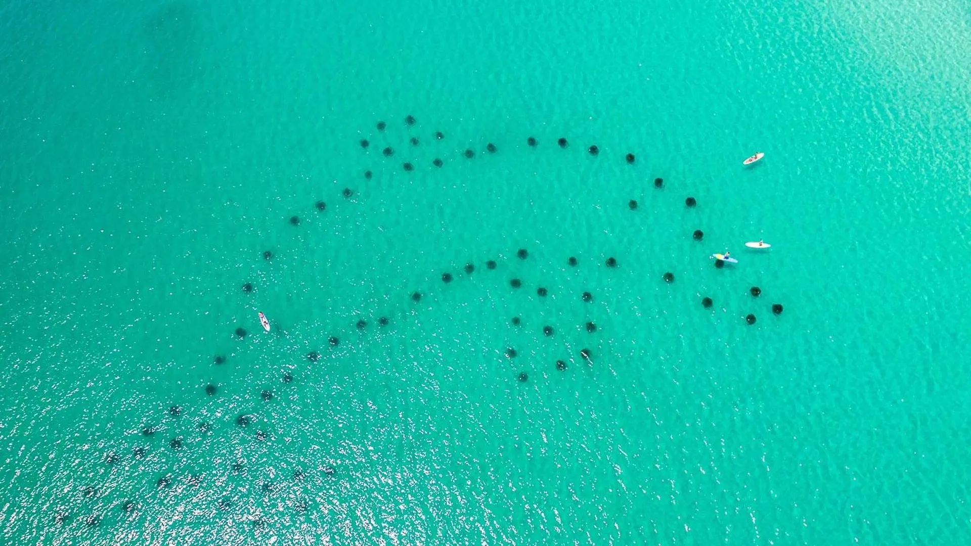 Apartment Inlet Reef 315- By Holiday Isle Properties Destin United States